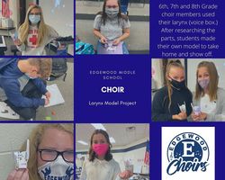Choir Larynx Model Project